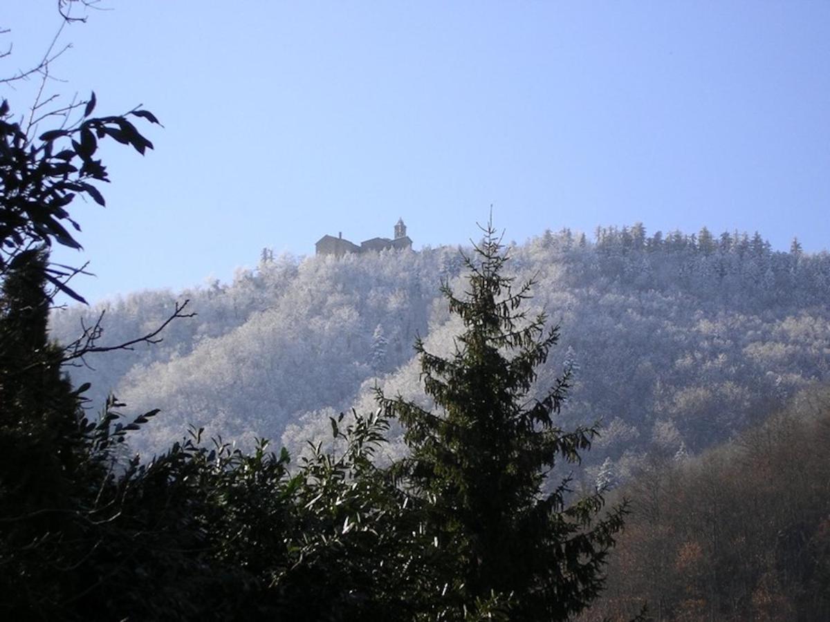 Villa Porcigliano Olive Grove Polcanto 外观 照片