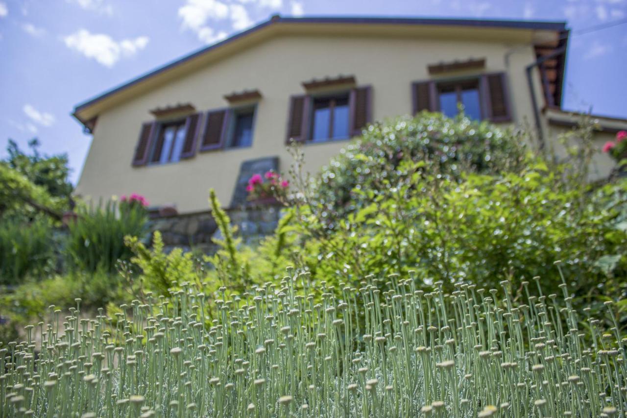 Villa Porcigliano Olive Grove Polcanto 外观 照片