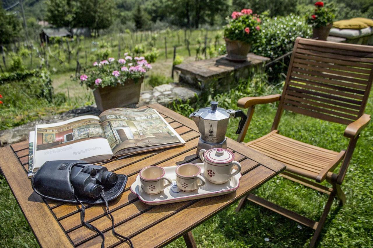 Villa Porcigliano Olive Grove Polcanto 外观 照片