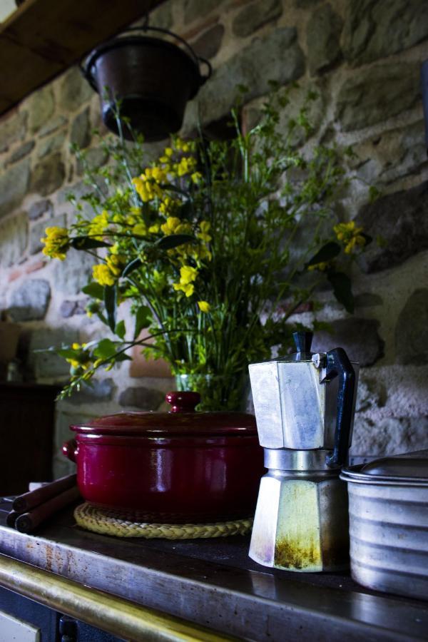 Villa Porcigliano Olive Grove Polcanto 外观 照片
