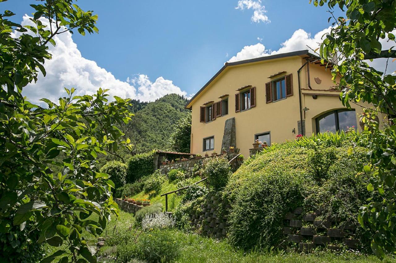 Villa Porcigliano Olive Grove Polcanto 外观 照片