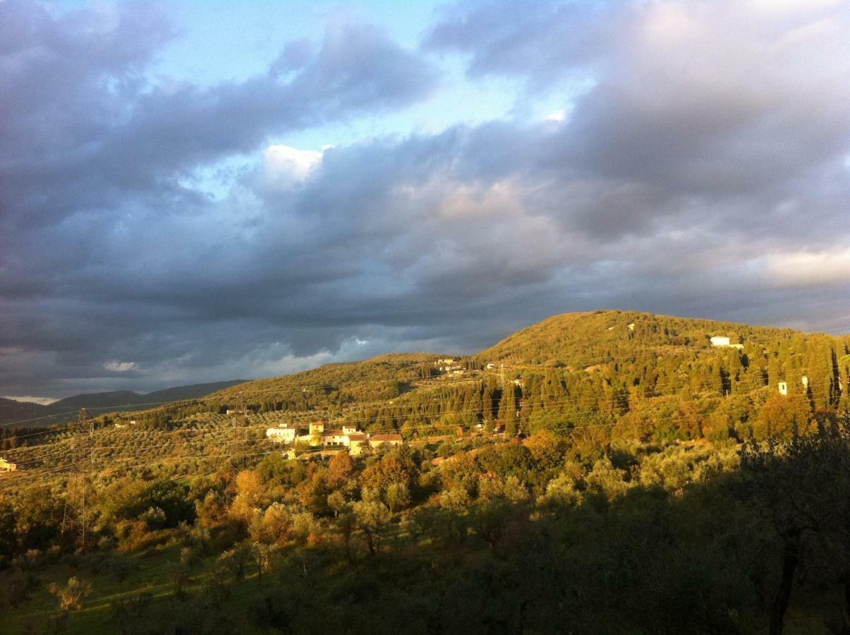Villa Porcigliano Olive Grove Polcanto 外观 照片