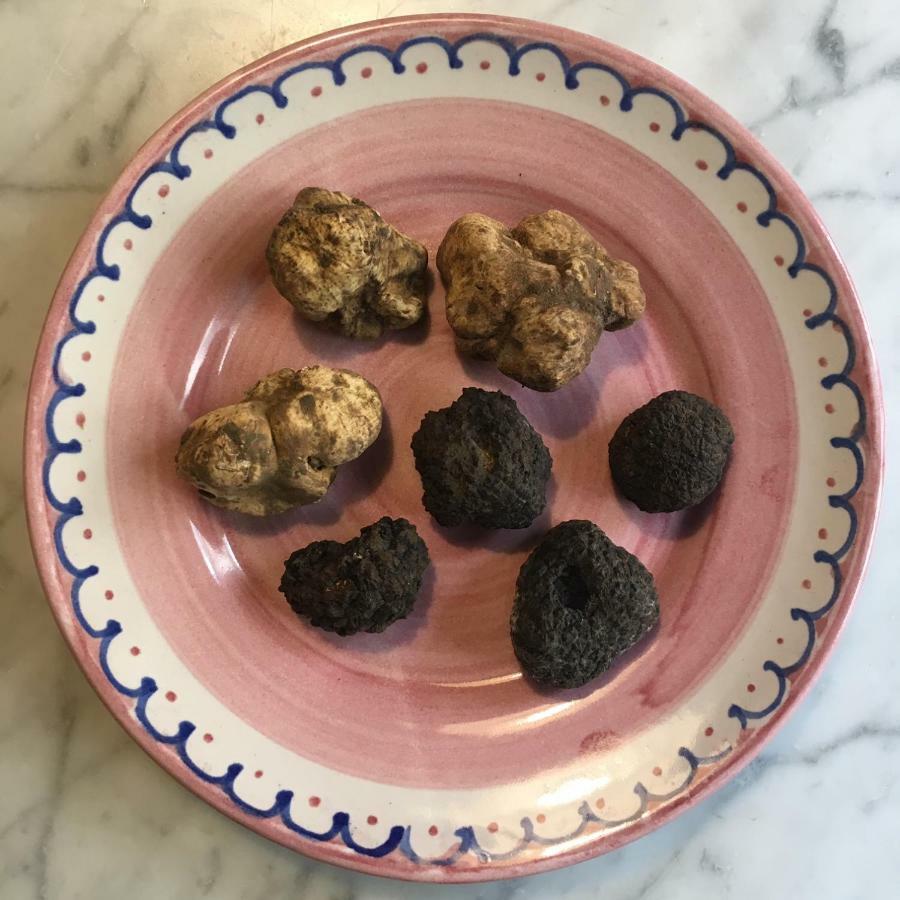 Villa Porcigliano Olive Grove Polcanto 外观 照片
